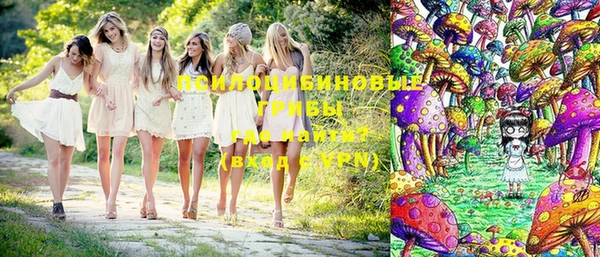 ПСИЛОЦИБИНОВЫЕ ГРИБЫ Алзамай