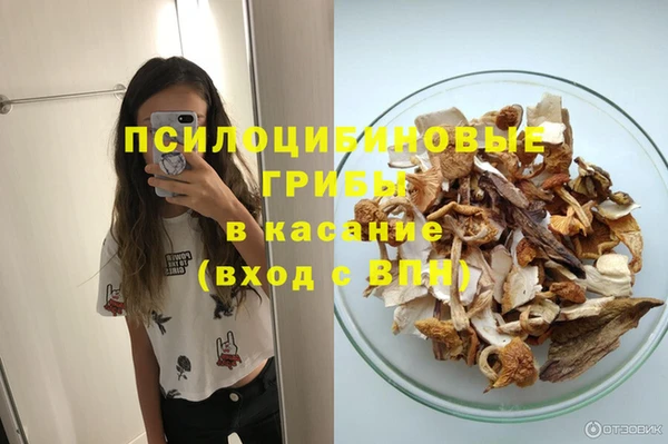 ПСИЛОЦИБИНОВЫЕ ГРИБЫ Алзамай