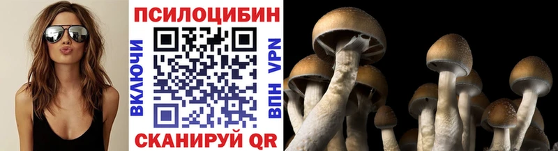 Галлюциногенные грибы Psilocybe  Северская 